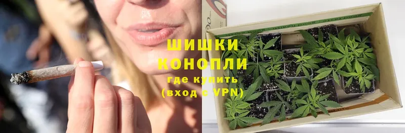 Шишки марихуана Amnesia  купить наркоту  KRAKEN рабочий сайт  Кувшиново 